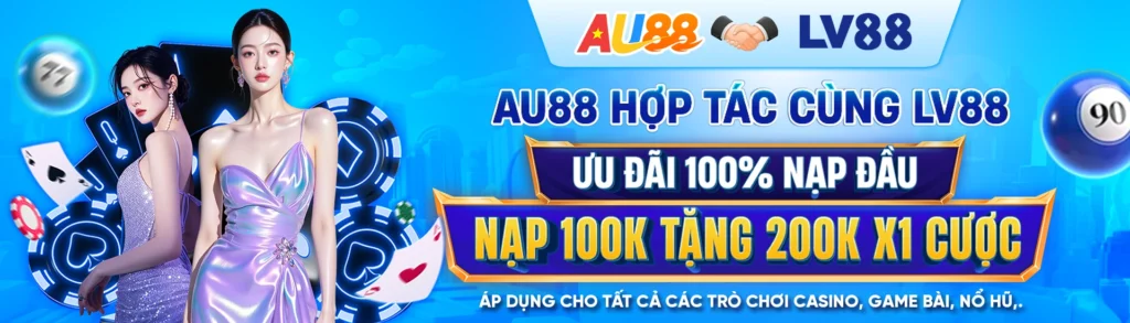 Banner LV88
