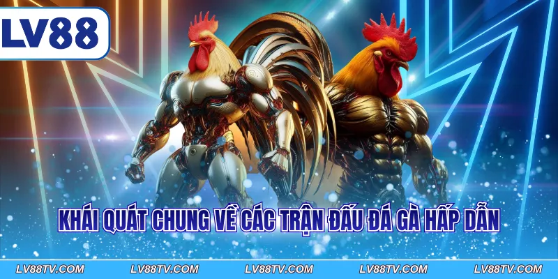 Khái quát chung về các trận đấu đá gà hấp dẫn