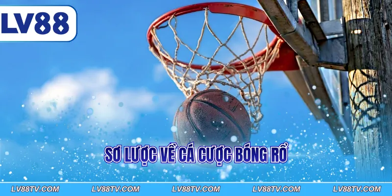 Sơ lược về cá cược bóng rổ